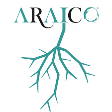 logo bodegas araico